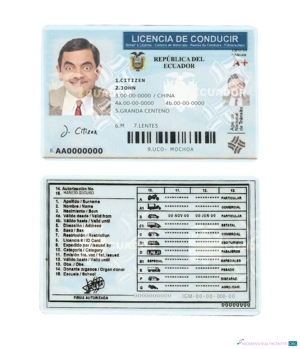 download Ecuador driving license
